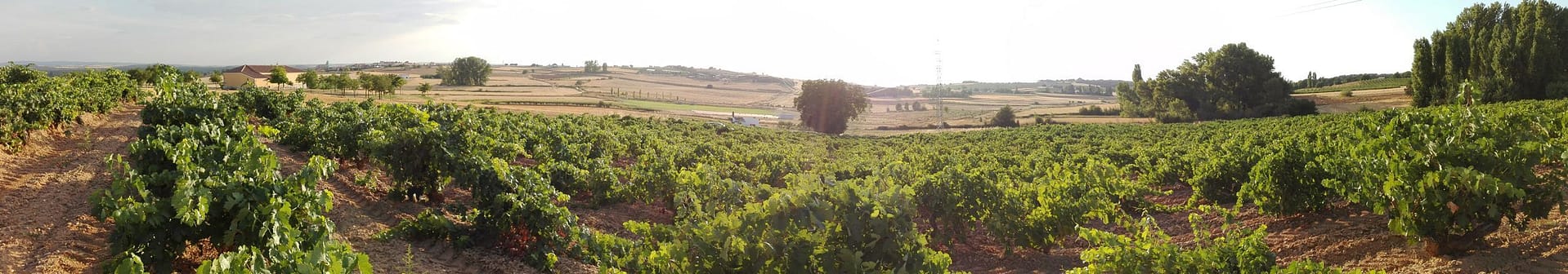 panoramica-la-virgen