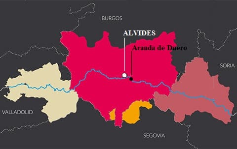 Bodega Alvides 5 Km from Aranda de Duero